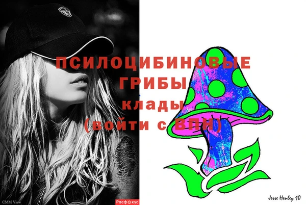 дурь Медвежьегорск